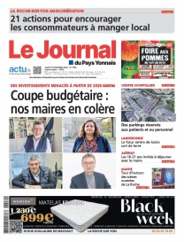 Le Journal Du Pays Yonnais