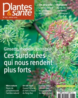 Lisez Plantes & Santé du 01 janvier 2025 sur ePresse.fr