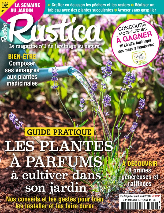 Rustica 31 juillet 2020 Abonnement Rustica Pas Cher avec le BOUQUET À LA CARTE ePresse.fr