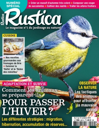 Rustica