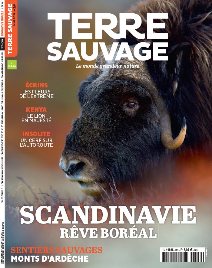 Terre Sauvage 21 juillet 2021