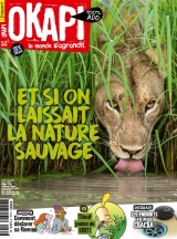 cover-small.jpg