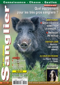 Sanglier et ses chasses