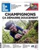 La Voix du Nord