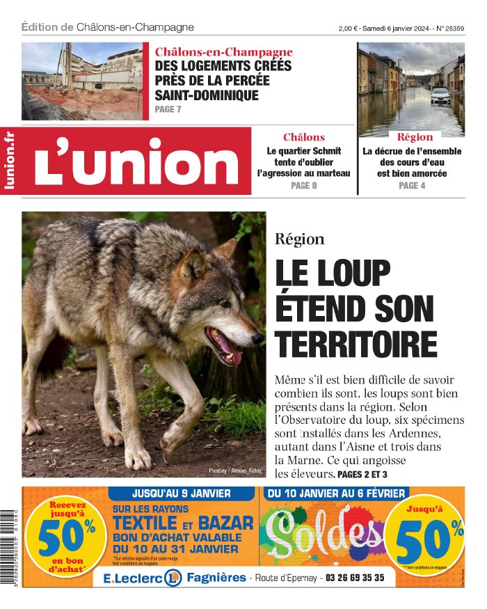 Le Loup - Le 31 janvier 2024