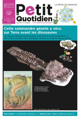 Abonnement Journal Le Petit Quotidien Pas Cher avec l'offre Premium ePresse.fr