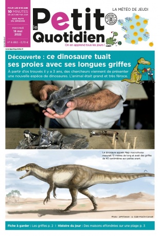 Le Petit Quotidien - 18/05/2022 | 