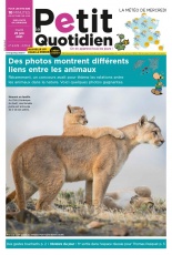 cover-small.jpg