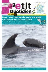cover-small.jpg