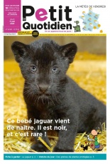 cover-small.jpg