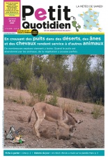 cover-small.jpg