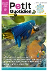 cover-small.jpg