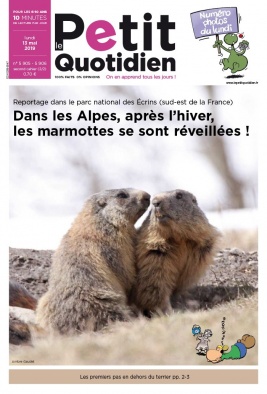 Le Petit Quotidien N°5906 du 13 mai 2019 à télécharger sur iPad