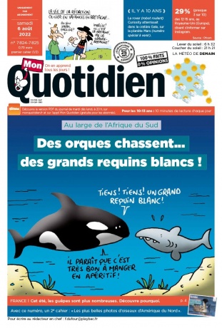 Mon Quotidien - 06/08/2022 | 