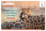 cover-small.jpg
