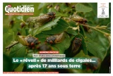 cover-small.jpg