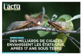 cover-small.jpg