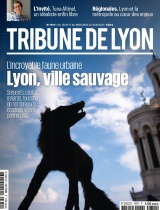 cover-small.jpg