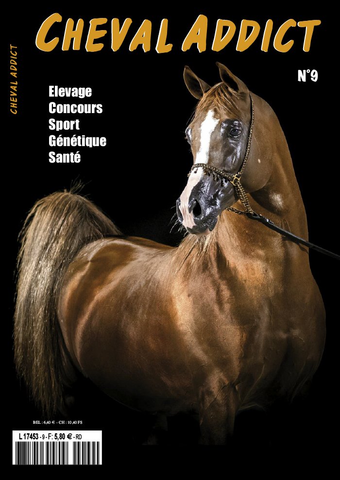 Cheval Addict 10 septembre 2019 Cheval Addict du 10 septembre 2019
