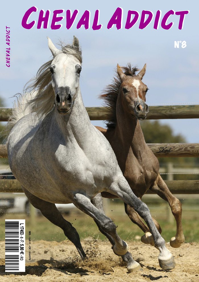 Cheval Addict 02 mai 2019 Cheval Addict du 02 mai 2019