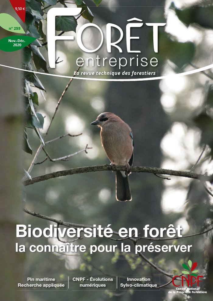 Forêt Entreprise 01 novembre 2020 Forêt Entreprise du 01 novembre 2020