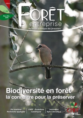 Forêt Entreprise 01 novembre 2020 Forêt Entreprise 01 novembre 2020