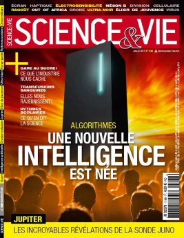 Science et Vie N°1198 du 28 juin 2017 à télécharger sur iPad