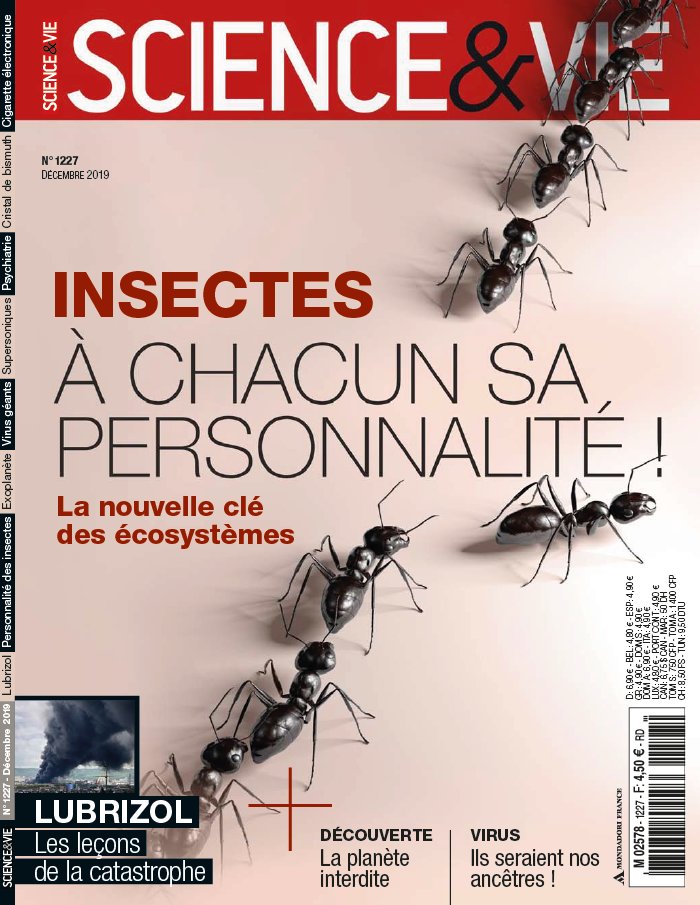 Science et Vie 20 novembre 2019 Abonnement Science & Vie Pas Cher avec le BOUQUET ePresse.fr