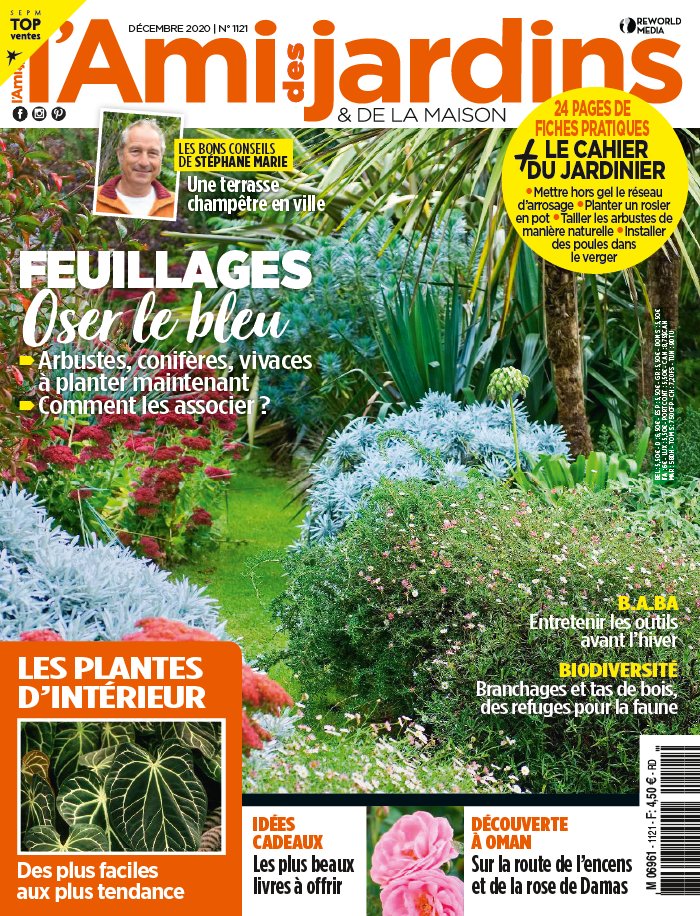 L'Ami des Jardins 23 novembre 2020 Abonnement L'Ami des Jardins Pas Cher avec le BOUQUET ePresse.fr