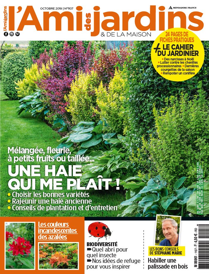 L'Ami des Jardins 26 septembre 2019 Abonnement L'Ami des Jardins Pas Cher avec le BOUQUET ePresse.fr