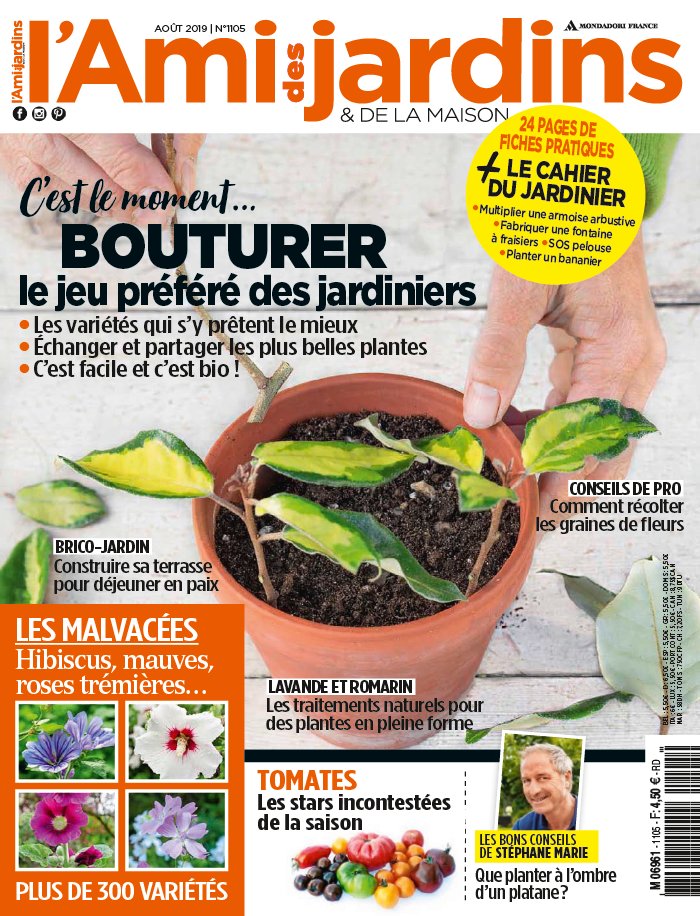 L'Ami des Jardins 29 juillet 2019 L'Ami des Jardins N°1105 du 29 juillet 2019 à télécharger sur iPad