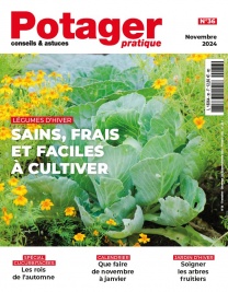 Potager Pratique