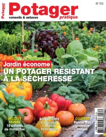 Potager Pratique