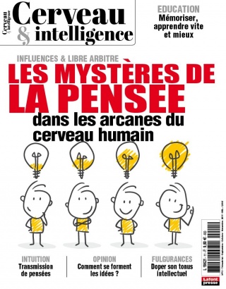 Cerveau & intelligence