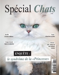 Spécial chats