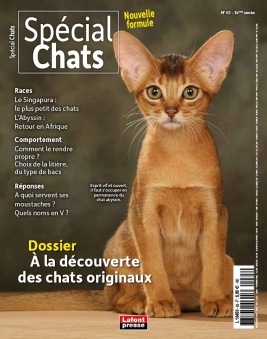 Lisez Spécial chats du 13 mars 2024 sur ePresse.fr