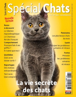 Lisez Spécial chats du 13 septembre 2023 sur ePresse.fr