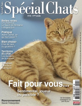 Special Chats N 45 Du 26 Juillet 19 A Telecharger Sur Ipad