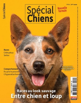 Lisez Spécial chiens du 13 mars 2024 sur ePresse.fr