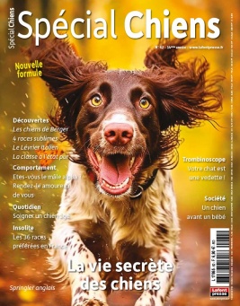 Lisez Spécial chiens du 13 septembre 2023 sur ePresse.fr