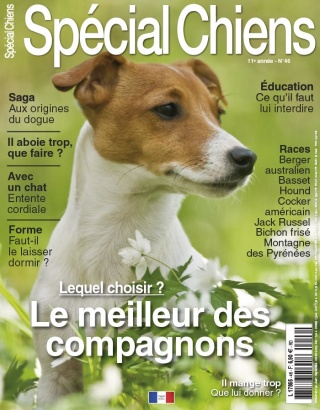 Spécial chiens