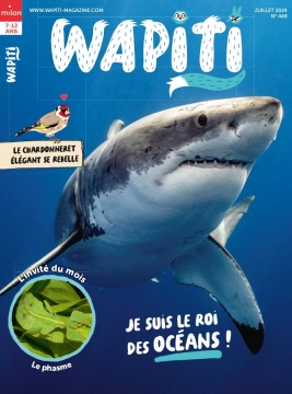 couverture de : Wapiti