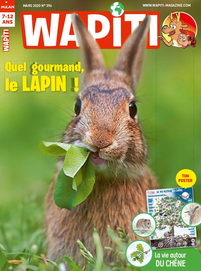 Wapiti 19 février 2020 Wapiti du 19 février 2020