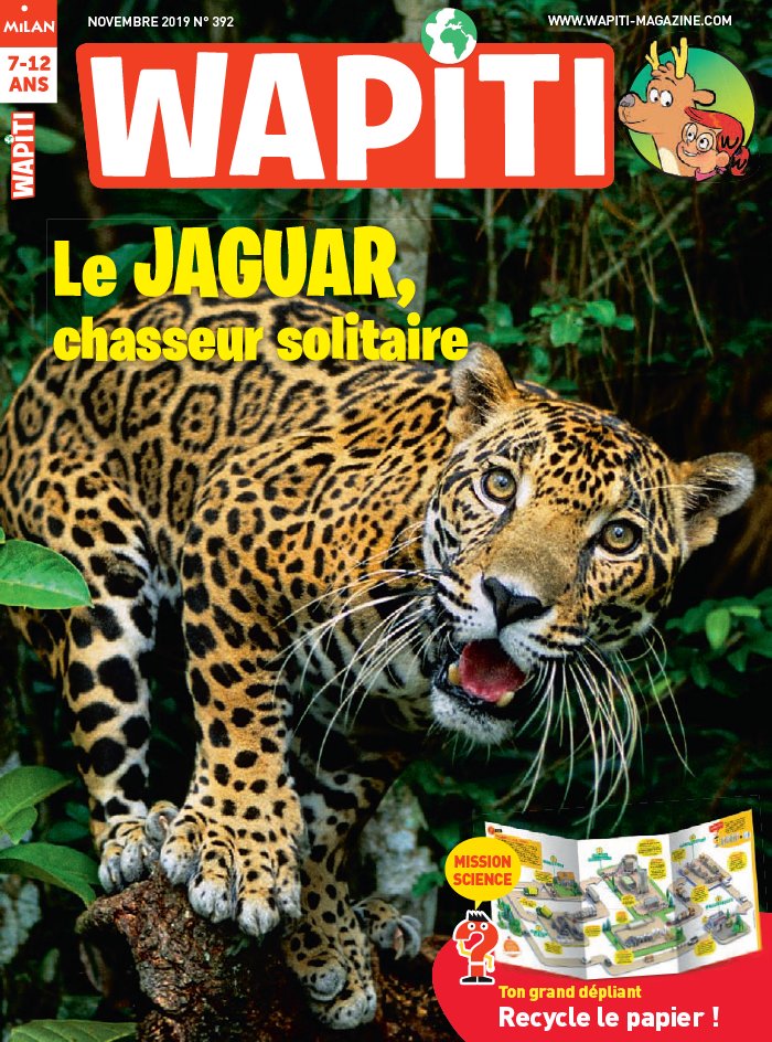 Wapiti 16 octobre 2019 Wapiti du 16 octobre 2019