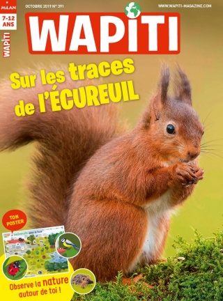 Wapiti