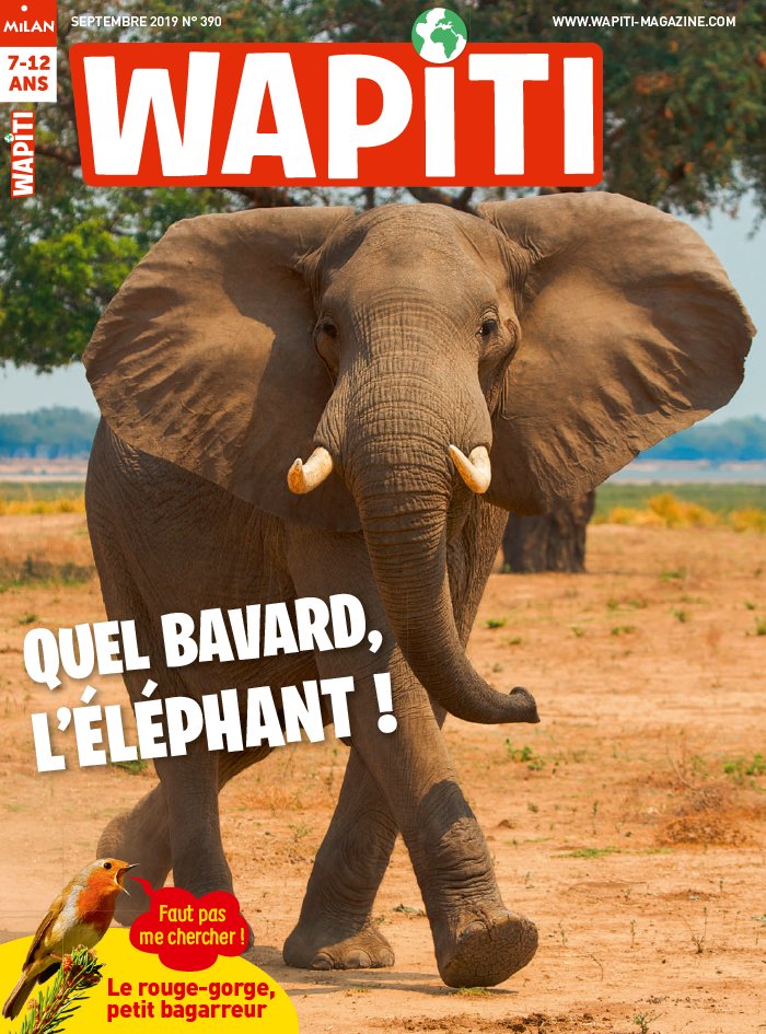 Wapiti 21 août 2019 Wapiti du 21 août 2019