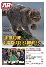 cover-small.jpg
