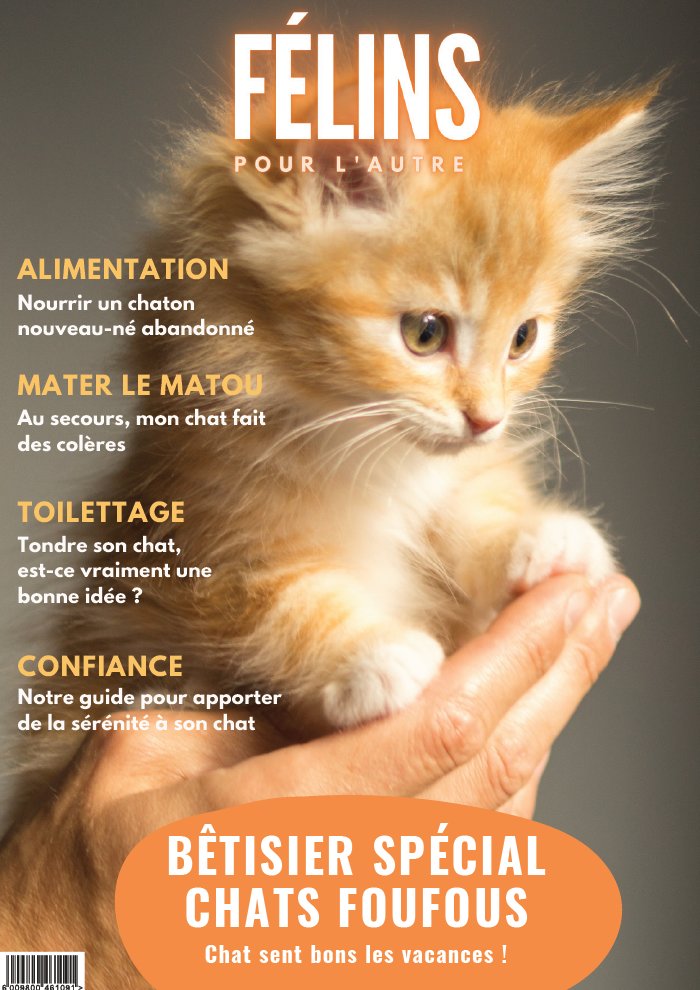 Félins pour l