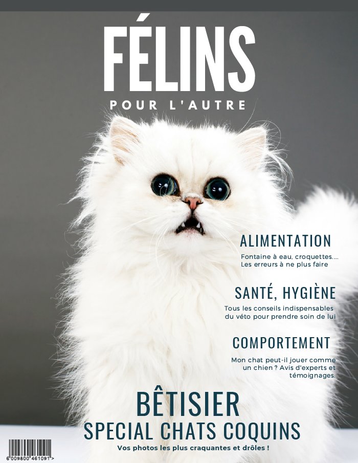 Félins pour l'autre N°1 du 31 mars 2020 à télécharger sur iPad