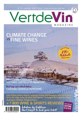 Vertdevin Magazine N°202201 du 15 janvier 2022 à télécharger sur iPad